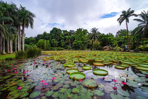 Xishuangbanna Tropical Botanical Garden