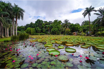 Xishuangbanna Tropical Botanical Garden