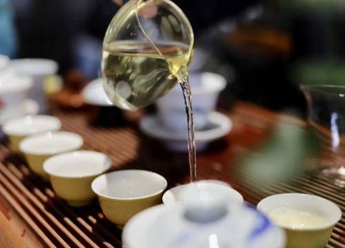Xishuangbanna Tea